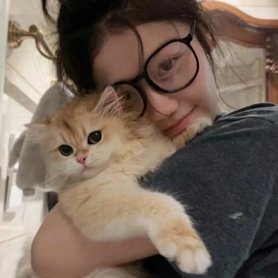 完美世界 在线观看