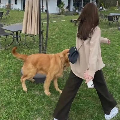 叛狱大猎杀 在线观看